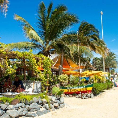 florian-k-8c10H2CJzYU-unsplash